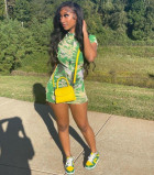 Super fast delivery (about 48hours in Brookly