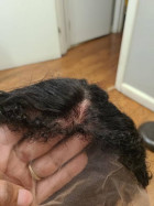 This wig is a must have! It hardly sheds it's