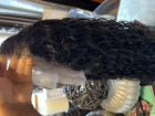 LISTEN!!! When I TELL U the hair is LEGIT! Ev