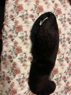 This is a wonderful wig every thing they say 