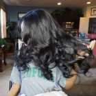 I like the hair the hair are not thin and hai