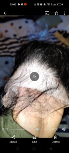 The length was long and really full and I rec