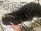 Love This Wig. True To Length, Perfect Lace,